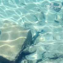 фото из отзыва ID 2673972