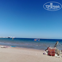 фото из отзыва ID 2673972