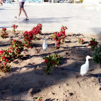 фото из отзыва ID 2673972