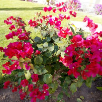 фото из отзыва ID 2673972