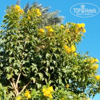 фото из отзыва ID 2673972