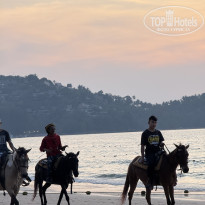 фото из отзыва ID 2673977