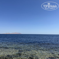 фото из отзыва ID 2673976