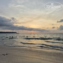 фото из отзыва ID 2674008