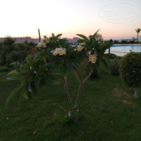 фото из отзыва ID 2674087