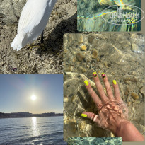 фото из отзыва ID 2674088