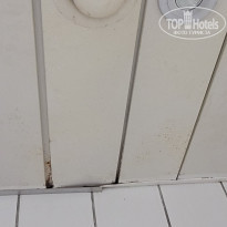 фото из отзыва ID 2674093