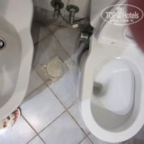 фото из отзыва ID 2674093