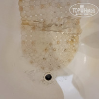 фото из отзыва ID 2674093