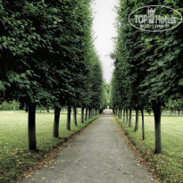 фото из отзыва ID 2673454