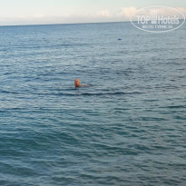 фото из отзыва ID 2674141