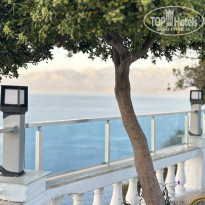 фото из отзыва ID 2674201