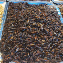 фото из отзыва ID 2674207