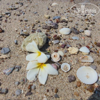 фото из отзыва ID 2674207