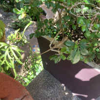 фото из отзыва ID 2674204