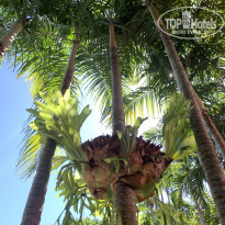 фото из отзыва ID 2674204