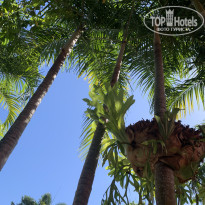 фото из отзыва ID 2674204