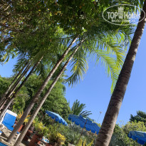 фото из отзыва ID 2674204