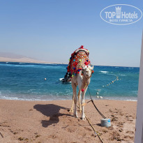 фото из отзыва ID 2674216