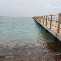 фото из отзыва ID 2674216