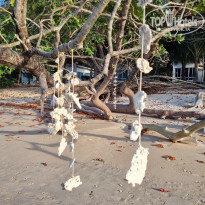 фото из отзыва ID 2674246