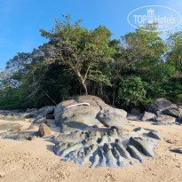 фото из отзыва ID 2674246