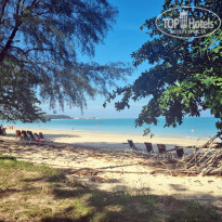 фото из отзыва ID 2674246