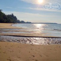 фото из отзыва ID 2674246