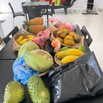 фото из отзыва ID 2674258