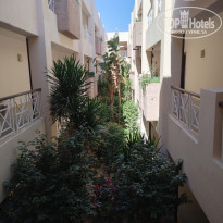 фото из отзыва ID 2674273