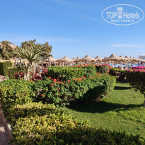 фото из отзыва ID 2674273