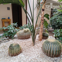 фото из отзыва ID 2674273