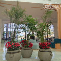 фото из отзыва ID 2674273