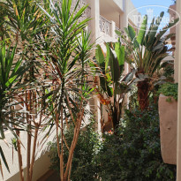 фото из отзыва ID 2674273