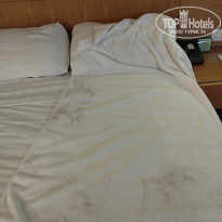 фото из отзыва ID 2674273