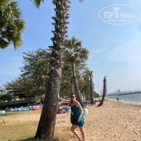 фото из отзыва ID 2674293