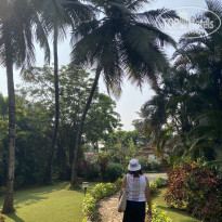 фото из отзыва ID 2674134