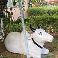 фото из отзыва ID 2674134