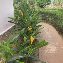 фото из отзыва ID 2674134