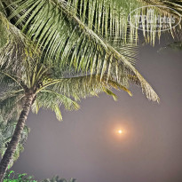 фото из отзыва ID 2674134