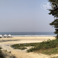 фото из отзыва ID 2674302