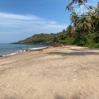 фото из отзыва ID 2674302