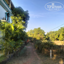 фото из отзыва ID 2674302