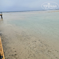 фото из отзыва ID 2674057