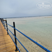 фото из отзыва ID 2674057