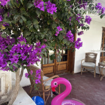 фото из отзыва ID 2674304