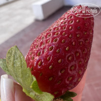 фото из отзыва ID 2674304