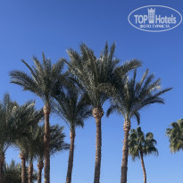 фото из отзыва ID 2674304