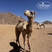 фото из отзыва ID 2674304