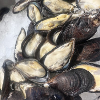 фото из отзыва ID 2674304